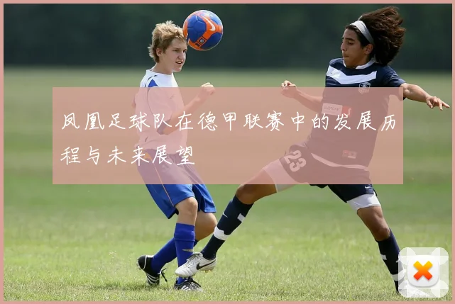 凤凰足球队在德甲联赛中的发展历程与未来展望