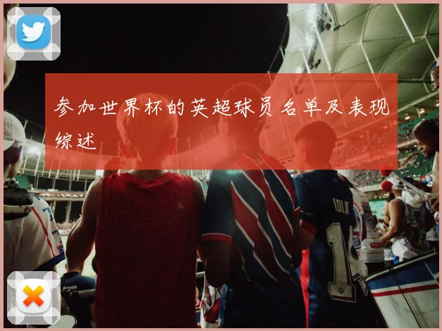 参加世界杯的英超球员名单及表现综述